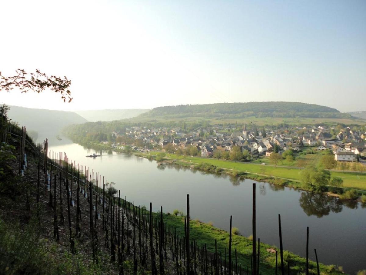 Hotel Wein & Wohngut Paulushof Pünderich Exteriér fotografie